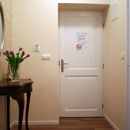 招待所 巴尼卡公寓&客房