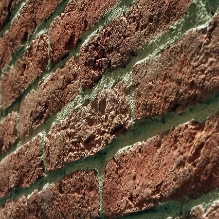 招待所 巴尼卡公寓&客房 斯普利特